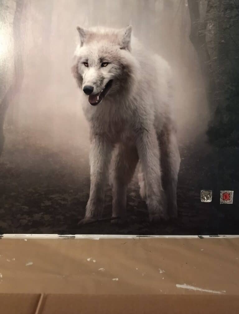Työnäyte