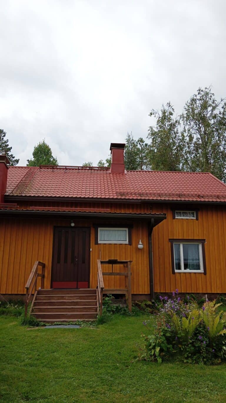 Työnäyte