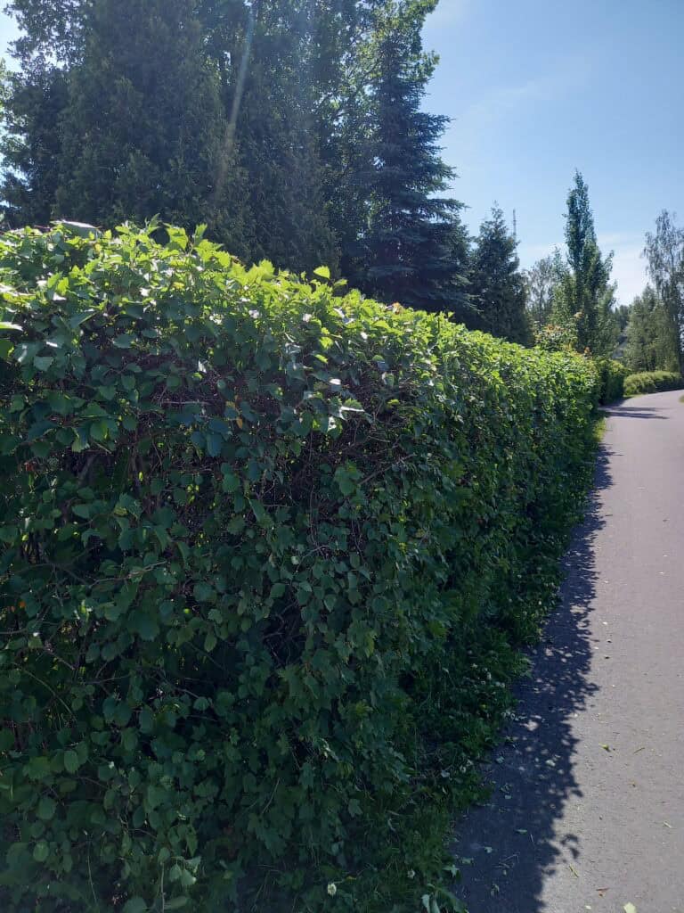 puska jälkeen