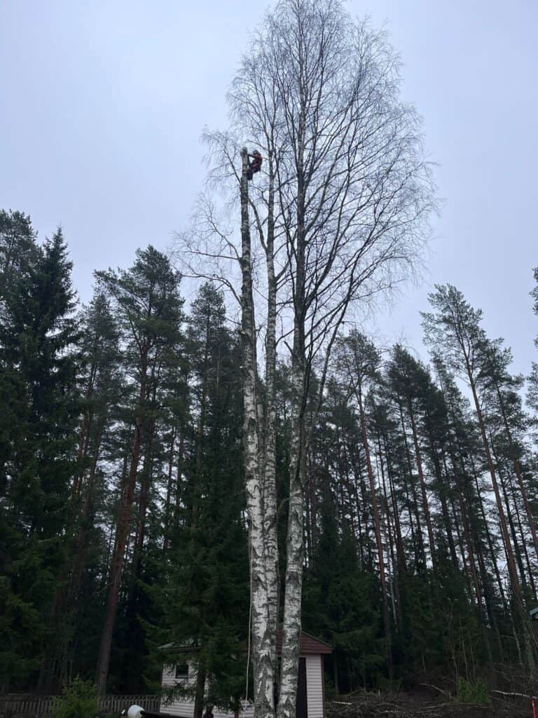 1000064003