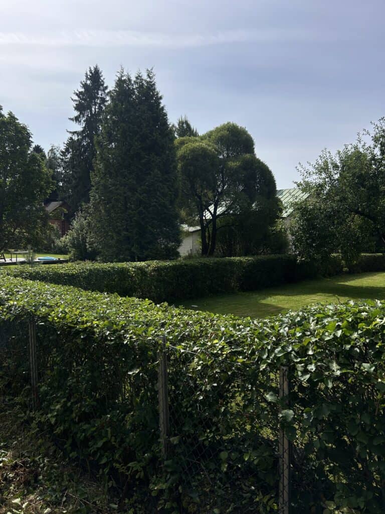 Työnäyte