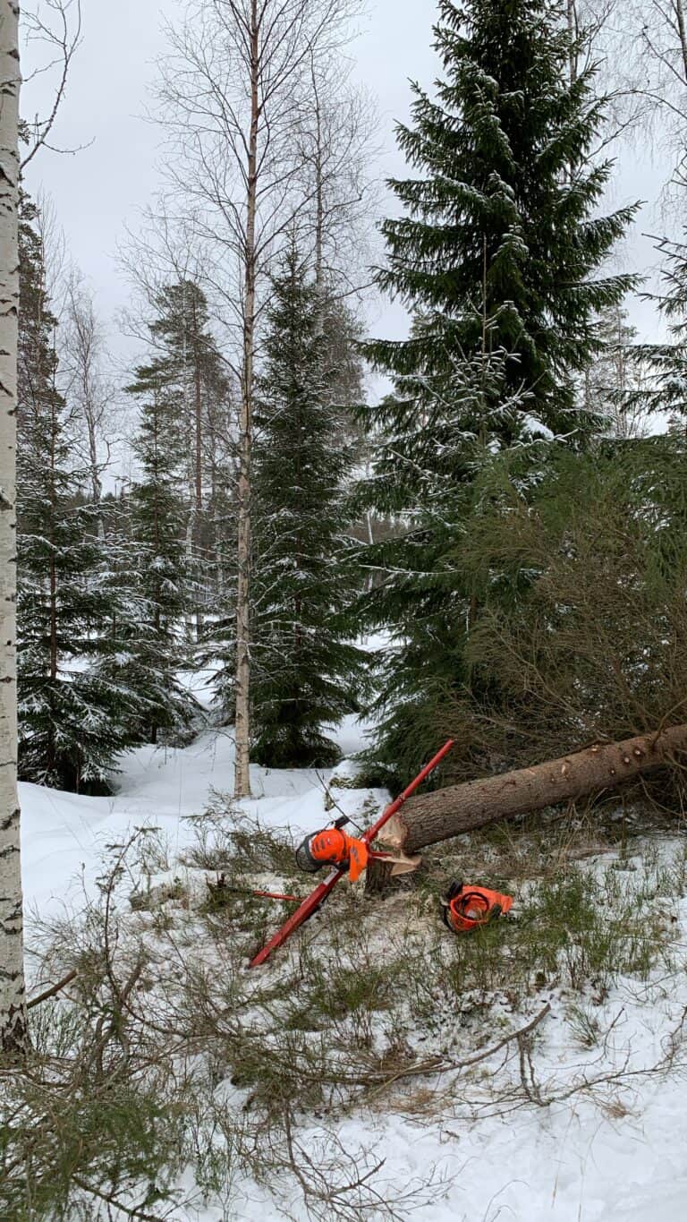 D8A7B87C-7DB5-4D14-84A6-1696E1AE3362