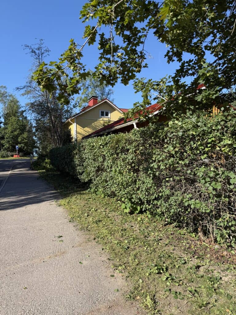 Työnäyte