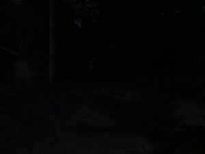 Aaro Välivuori