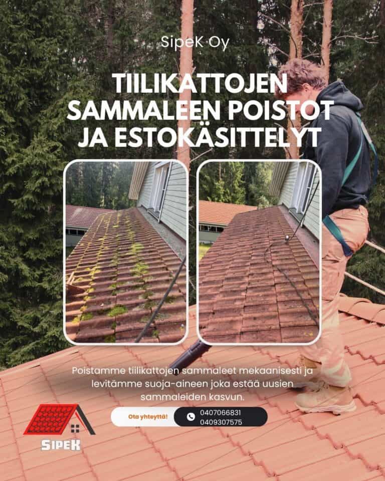 Työnäyte