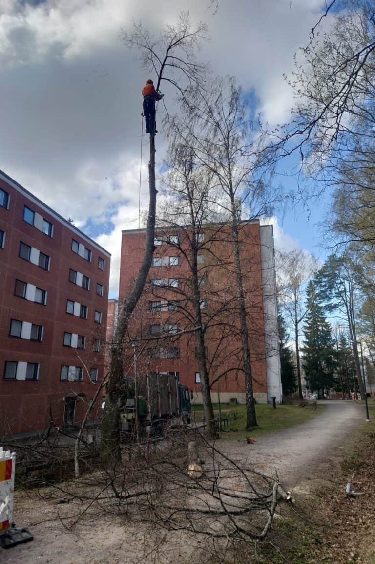 Työnäyte