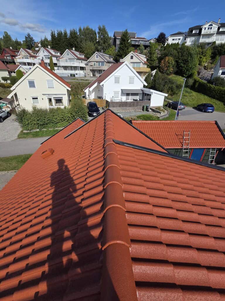 Työnäyte