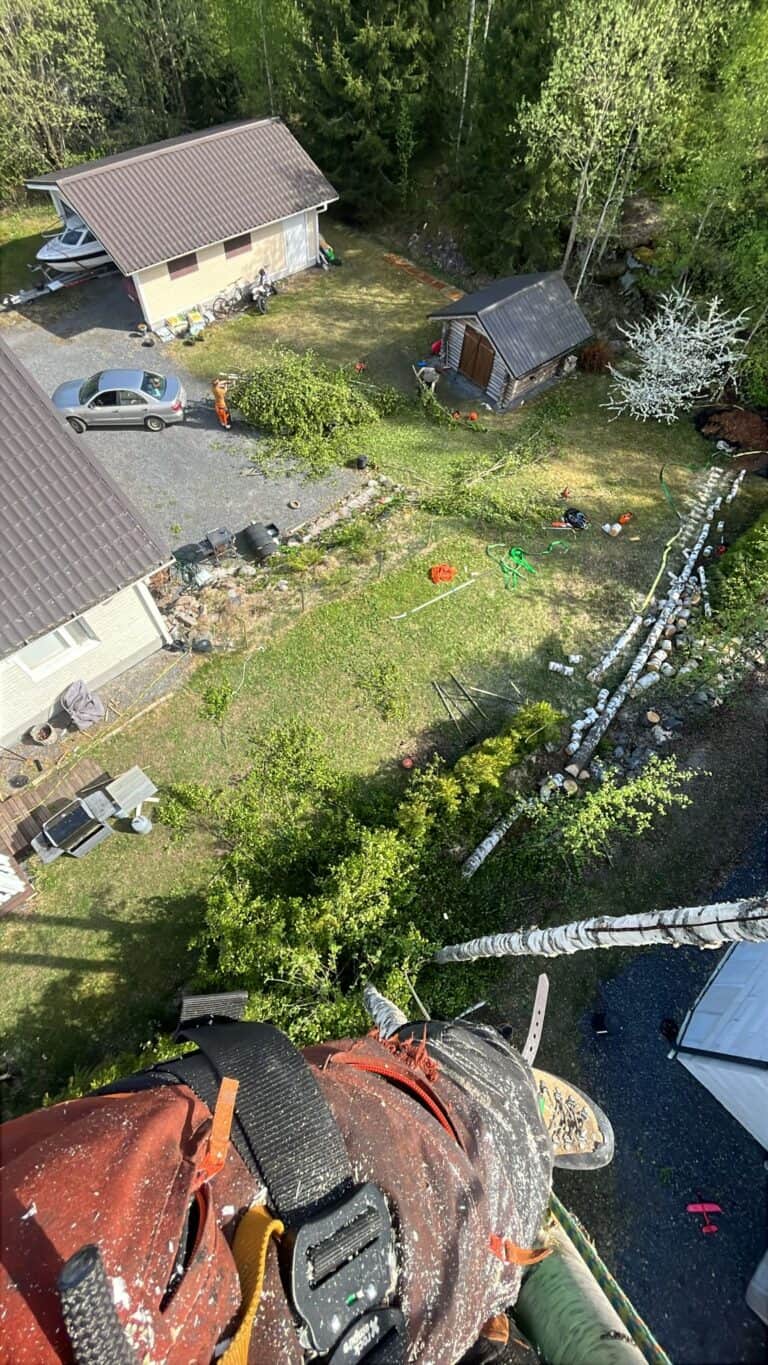 Työnäyte