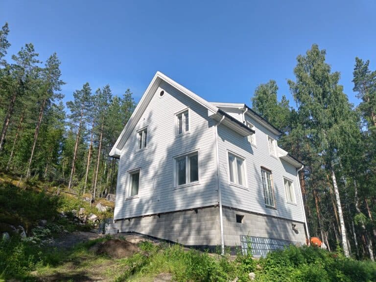 Työnäyte