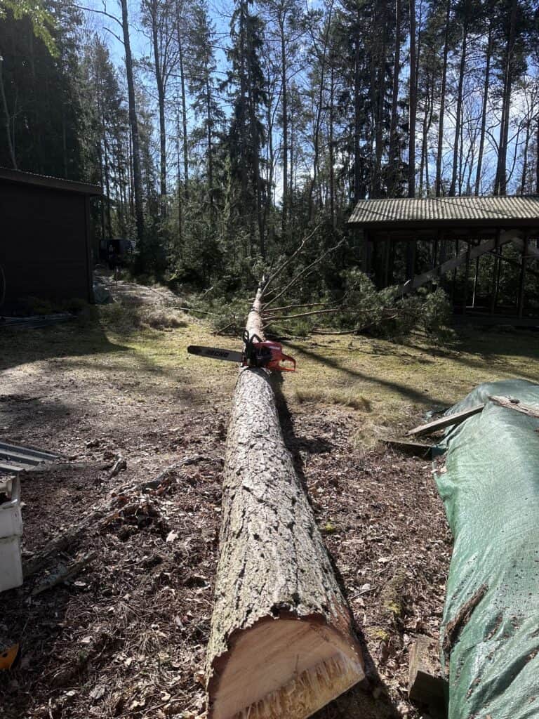 Työnäyte