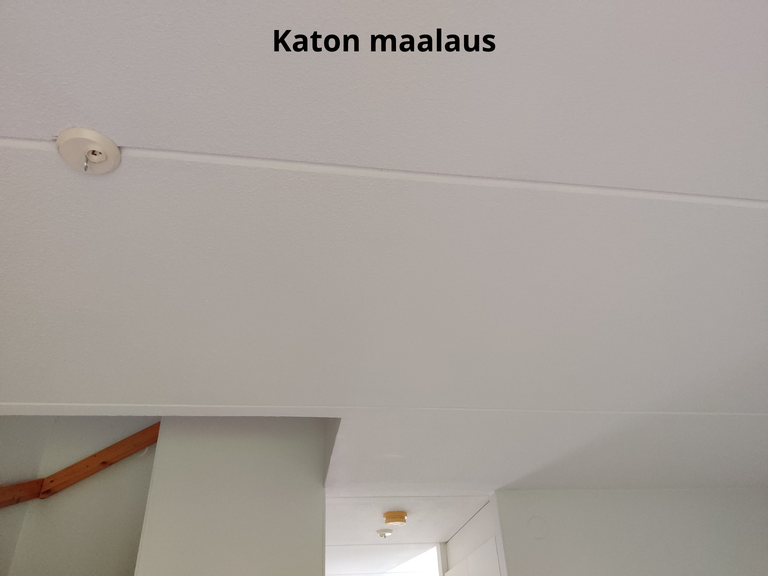 Työnäyte
