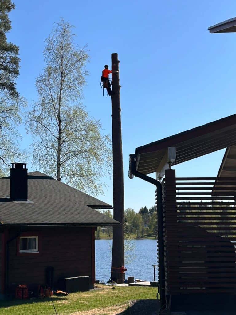 Työnäyte
