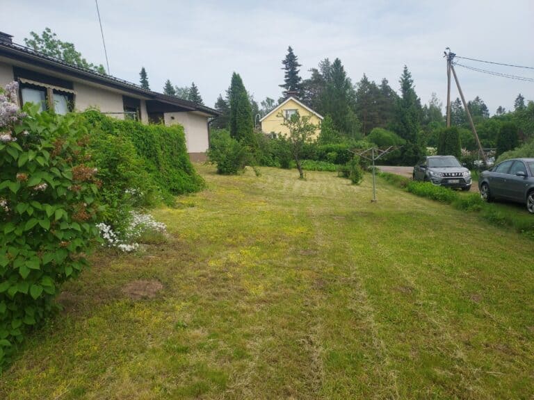 Työnäyte