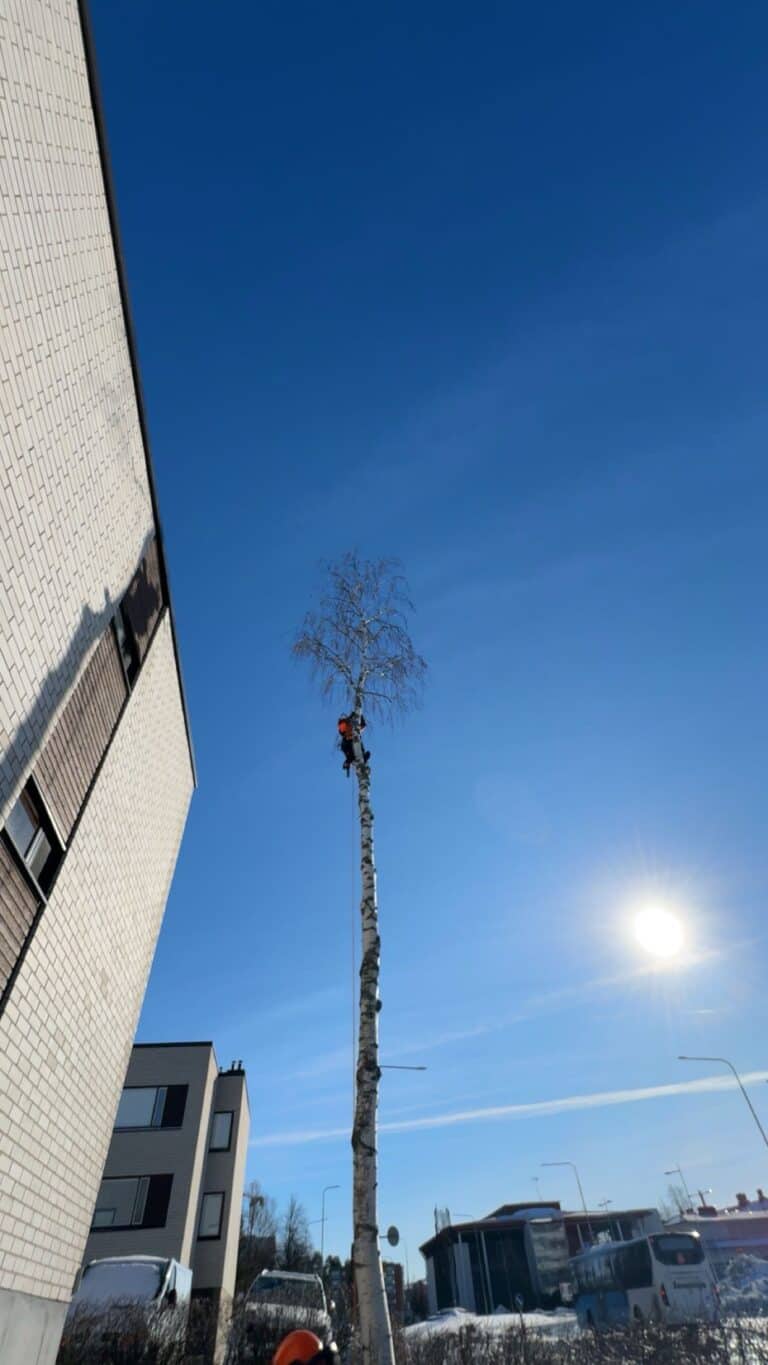 Työnäyte