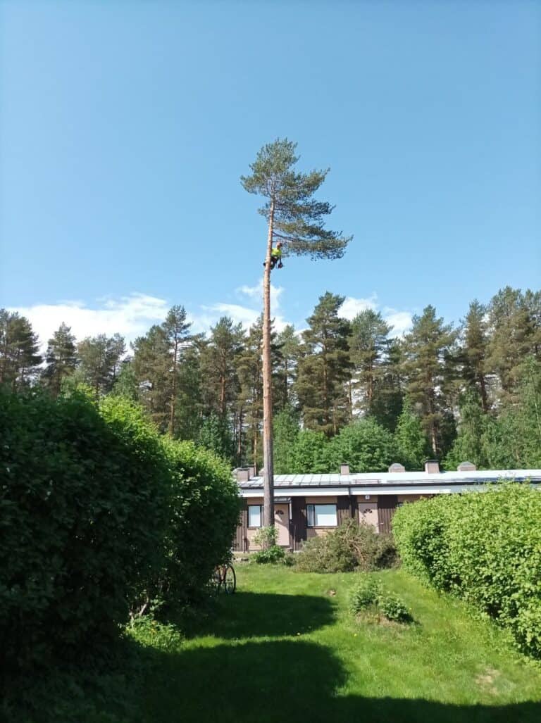 5402154490351704319