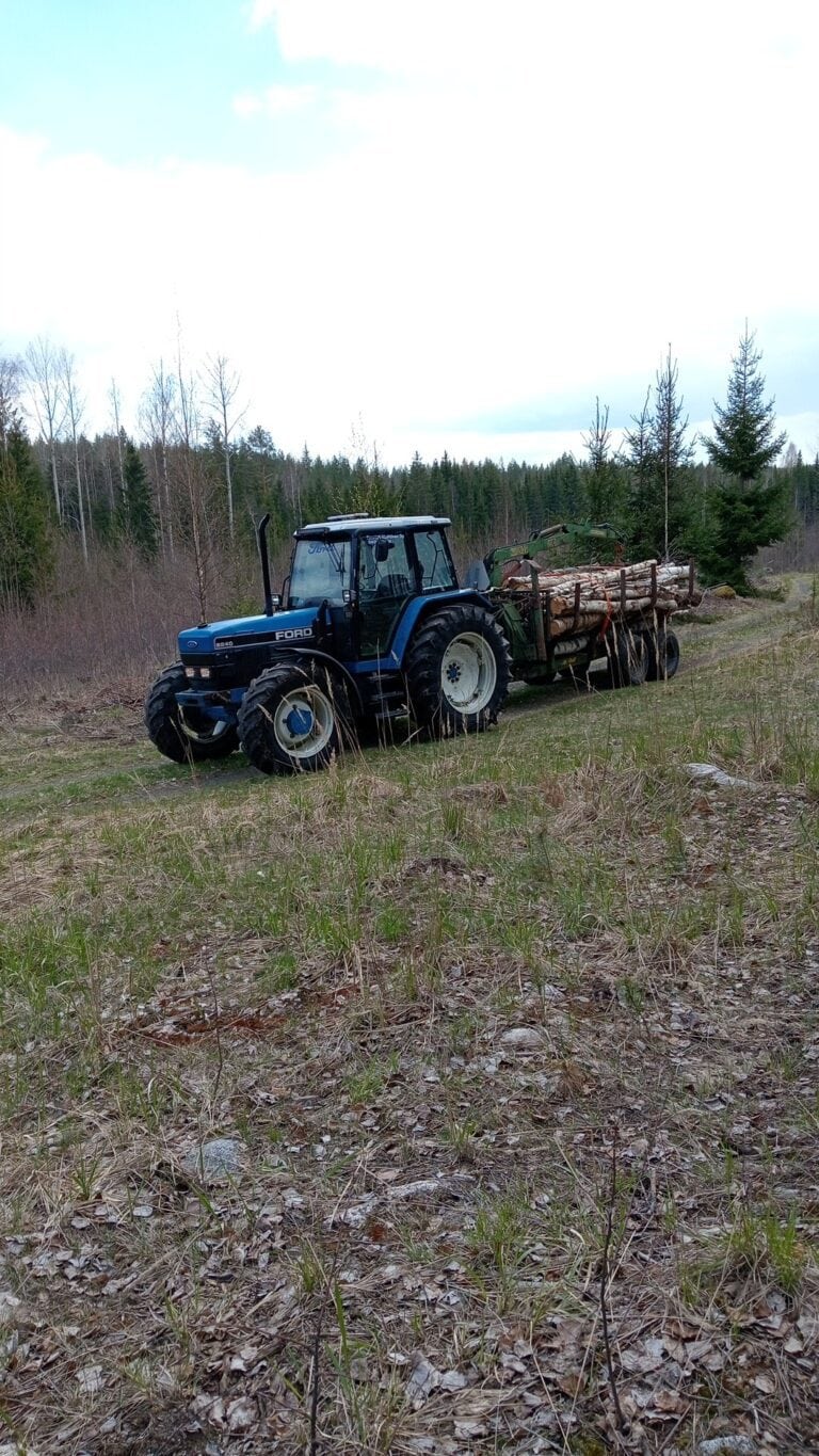 Työnäyte
