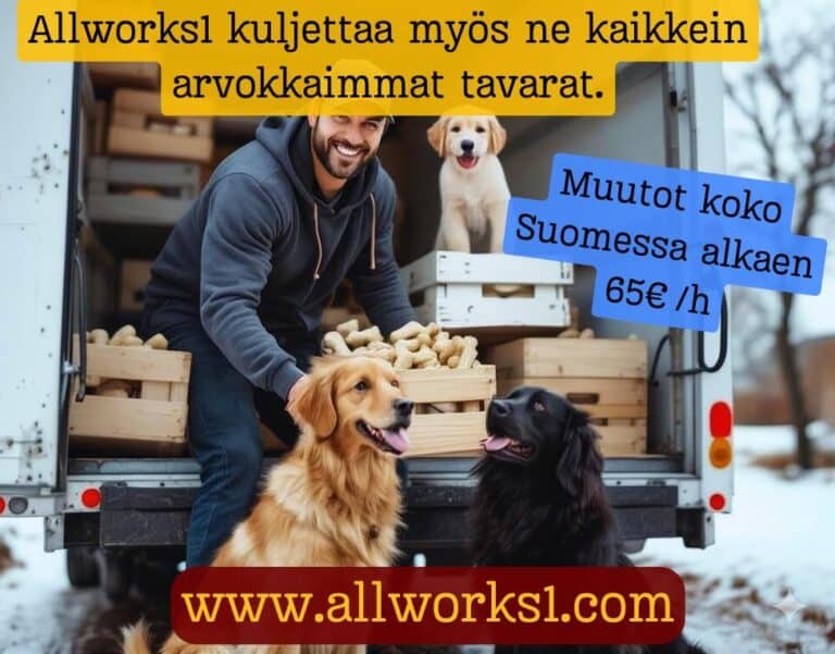 muutto-suomi