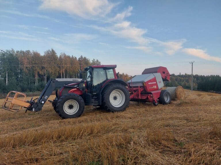 Työnäyte