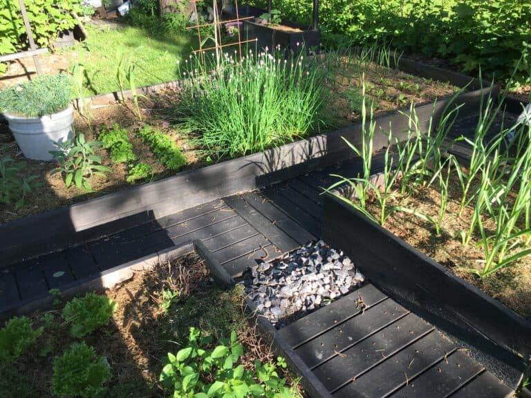 287323897_427026575948585_421142293569153300_n