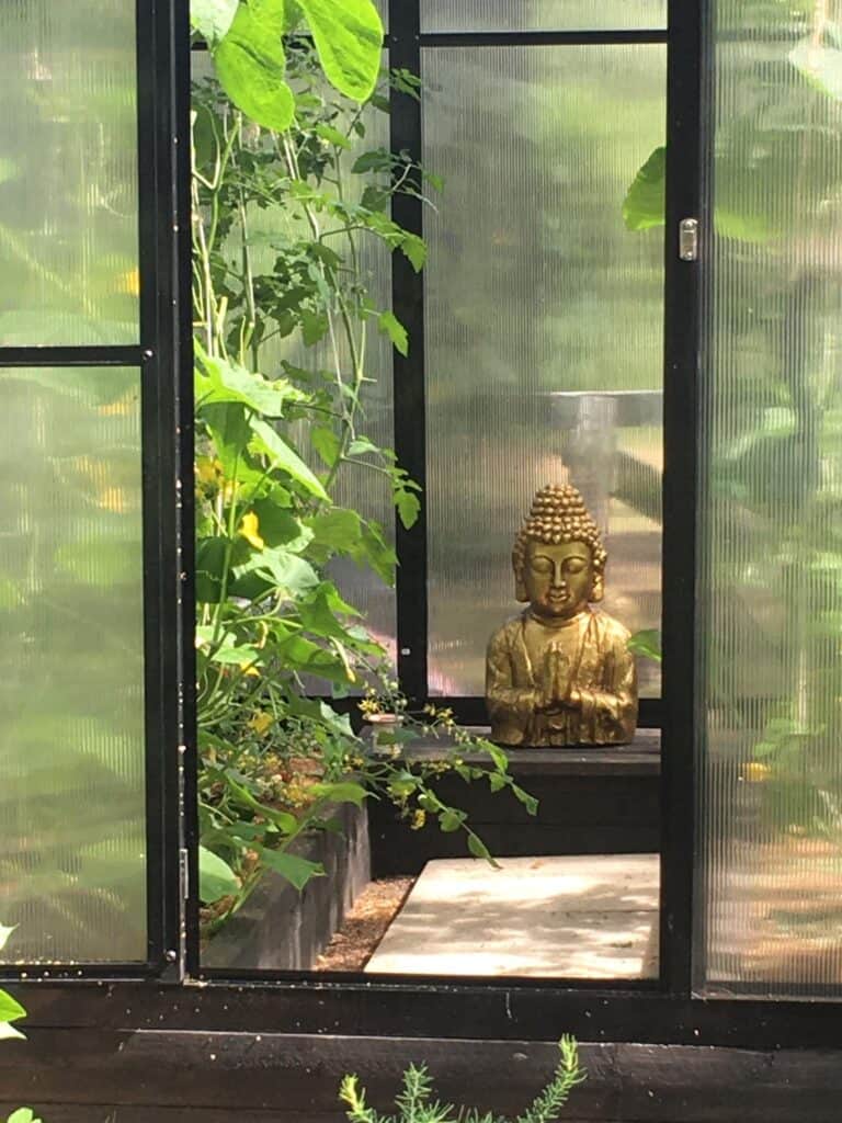 360105294_672758744708699_3819068817390078711_n