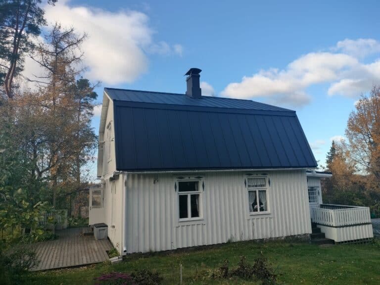 Työnäyte